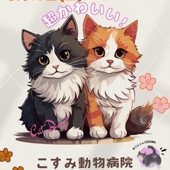 🐈ほごにゃんCOCORO譲渡会のお知らせ🐈