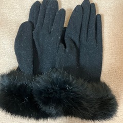 無料でどうぞ   ブランド不明　女性用手袋　