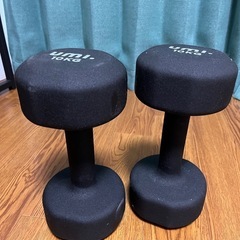 10キロのダンベル