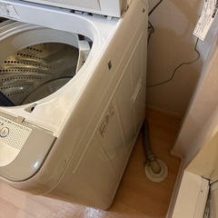 【美品】Panasonic 5.0kg全自動洗濯機の画像