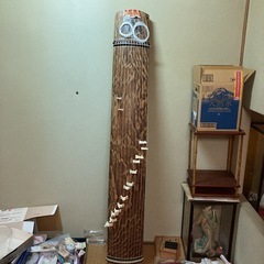 箏の画像