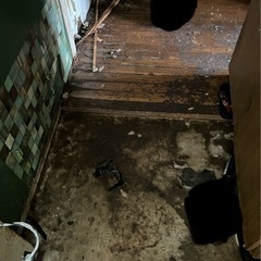 ペット多頭飼いによる、特殊清掃 - 便利屋