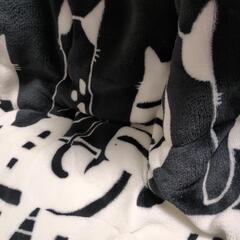 こたつ布団　黒地に白のネコ柄の画像