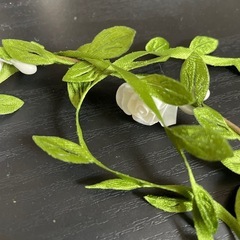 月桂冠の髪飾り
の画像