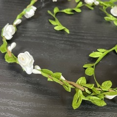 月桂冠の髪飾り
の画像