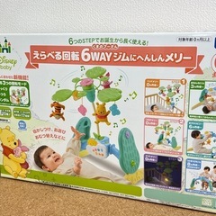 プーメリーの中古が安い！激安で譲ります・無料であげます(9