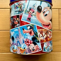初投稿半額以下‼️TDRディズニー 空缶セットの画像