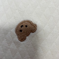 ロトトクッションの画像