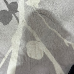 【🌸決定】ラグマットの画像