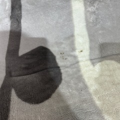 【🌸決定】ラグマットの画像