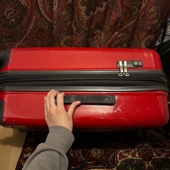 【あげます】スーツケース　リトルミイの画像