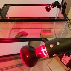 決まりました)水槽 ペットヒーター 赤外線ランプ　爬虫類飼育セット 蛇の画像