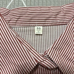 【美品】ストライプシャツの画像