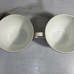 ☆値下げ☆A 2503-497 ロイヤルドルトン カップ&ソーサー2客 バラ売り不可 キズ 汚れ 色はげありの画像