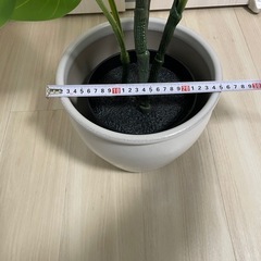 人工観葉植物/フェイカ(鉢付き)の画像