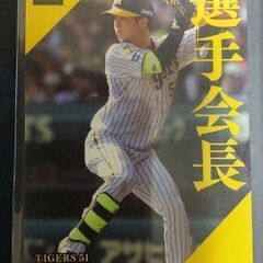 Calbee プロ野球 カード 2023 2024 大山悠輔 中野拓夢 森下翔太 阪神 3枚の画像