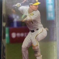 Calbee プロ野球 カード 2023 2024 大山悠輔 中野拓夢 森下翔太 阪神 3枚の画像