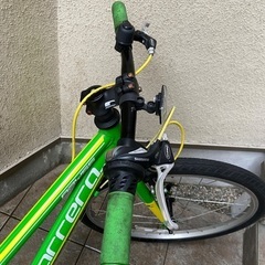 Carrera ジュニア自転車