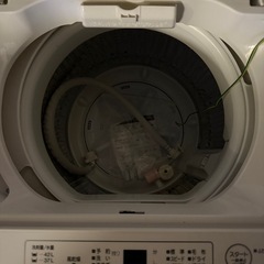 洗濯機　2023年製　ヤマダセレクトの画像
