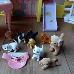 リカちゃん　ペットショップの画像