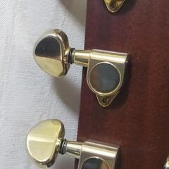 アコギ   YAMAHAのペグ(ゴールド)求む