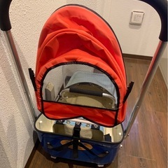 【希少品】手押しそり　kid's PULKの画像