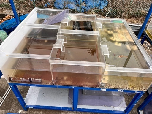 1500水槽のみ　ショップ什器　