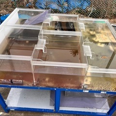1500水槽　ショップ什器　アングル台セットの画像