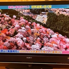 SONY 40型 TV