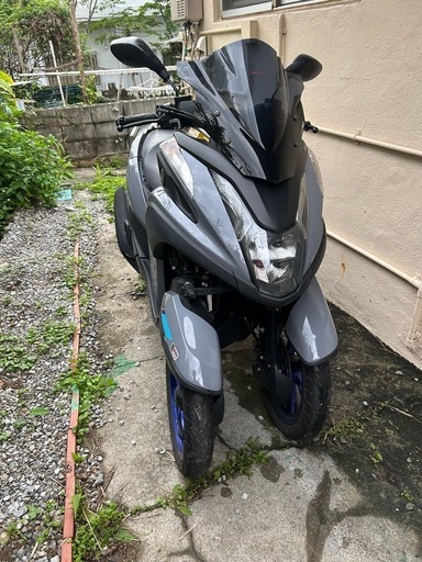 トリシティ155 （決まりました）