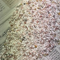 カラー砂利約1キロ　水槽に