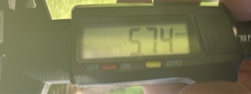 3月30日　お取引終了　8部山以上！　23&24年製　ブリジストン最新モデル155 65 r14　純正ホイール 4本セット