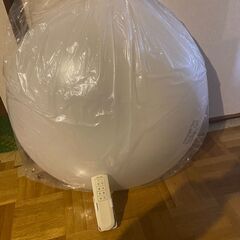 照明　直径60cm