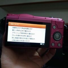 優良品　【ショット数 3,436回】　 SONY 　α5000　 ILCE-5000の画像
