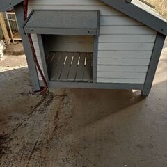 犬小屋