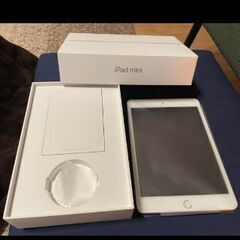 ipadmini5