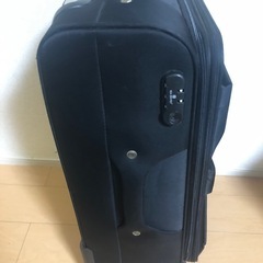 キャリーバック(キャリーケース)の画像