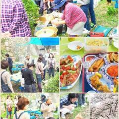 4/6王子公園お花見会 − 兵庫県