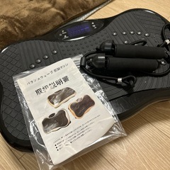 バランスウェーブ　振動マシンの画像