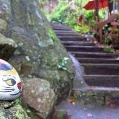 猫好きです。3/16尾道の猫の細道へ