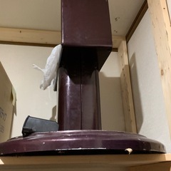 お引き取り決まりました。全自動麻雀卓の画像