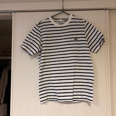ラコステTシャツ