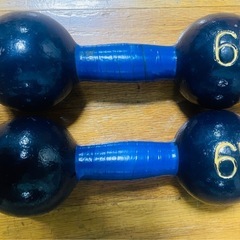 鉄アレイ6kgペア