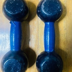 鉄アレイ5kgペアの画像