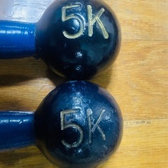 鉄アレイ5kgペアの画像
