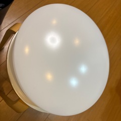 シーリングライト