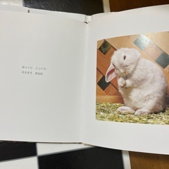 絵本　中古の画像