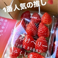 3月16日(日)在庫SALE色々しちゃいます⭐︎