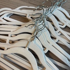 ノンスリップハンガー16本おまけ付きの画像