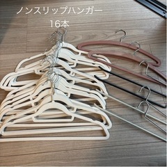 ノンスリップハンガー16本おまけ付きの画像
